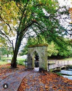 an archway in a park with a tree and a bridge at Ryan's River Lodge B&B in Cong