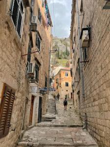 an alley with a dog walking down the street at Sofija Apartment in Kotor