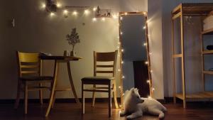 Domácí mazlíčci ubytovaní s hosty v ubytování Hoshi DaLat House