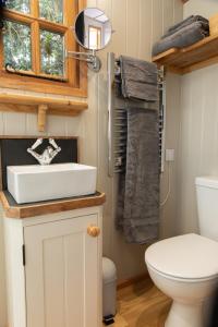 Koupelna v ubytování Luxury, rural Shepherds Hut with hot tub nr Bath