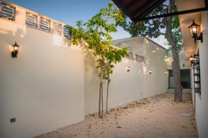 a courtyard with two trees next to a white wall at Casa Del Prado in Mérida