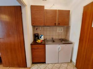 Kuchyň nebo kuchyňský kout v ubytování Apartments Fam Tomasic