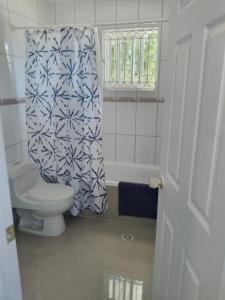 a bathroom with a toilet and a shower curtain at agradable habitacion privada en casa rural con estacionamiento gratis en sus instalaciones in Chillán