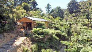 a small cabin in the middle of a forest at Tawa Cove Cabins in Endeavour Inlet