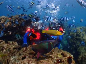 Galeri foto Kenting Ocean World Diving II di Kota Tua Hengchun