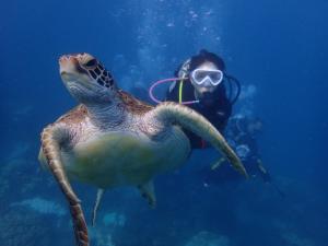 Galeri foto Kenting Ocean World Diving II di Kota Tua Hengchun