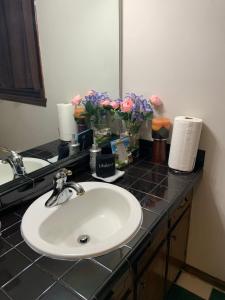 a bathroom counter with a sink and a mirror at Jackson’s Stone Mountain Hideaway in Stone Mountain