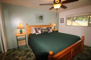 1 dormitorio con cama verde y ventilador de techo en Cedar Mountain Lodge, en Oakhurst