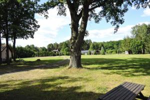 un parque con un árbol y un banco en un campo en holiday home, Szczecin, en Szczecin