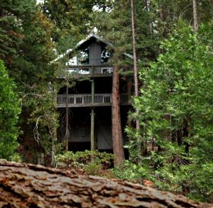 a tree house in the middle of the forest at Tree House Lodge in Yosemite West