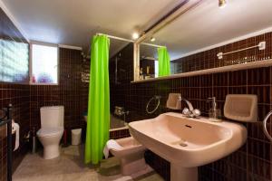 a bathroom with a sink and a toilet and green shower curtain at Lovely Apartment in Athens-Psychiko in Athens