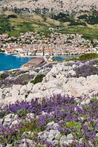 a town on a hill with purple flowers at VillaMar in Pag