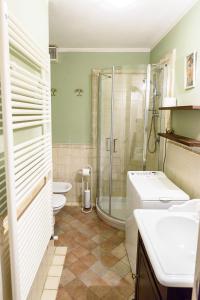アオスタにあるDeTillierStudiòのバスルーム(シャワー、トイレ、シンク付)