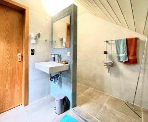 uma casa de banho com um lavatório e um chuveiro em Ferienhaus Rhöner Wohnen em Hilders