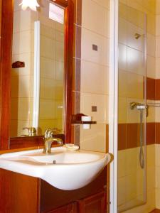 a bathroom with a sink and a shower at Pension Casa Iurca in Sighetu Marmaţiei