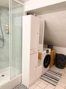La salle de bains est pourvue d'un lave-linge et d'une douche. dans l'établissement Charmant appart sous toits proche Château des Ducs, à Chambéry