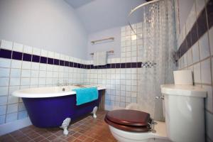 a bathroom with a tub and a toilet and a sink at Penkenna House, Crackington Haven, North Cornwall in Crackington Haven