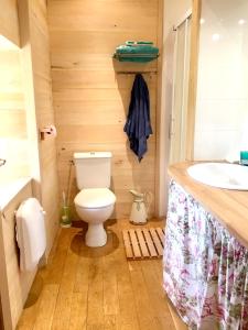 łazienka z toaletą i umywalką w obiekcie Maison de 4 chambres avec jardin amenage a Naucelles 
