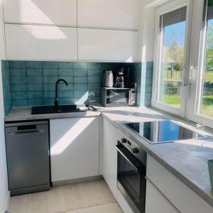Kuchyňa alebo kuchynka v ubytovaní Dream Summer House Fonyód