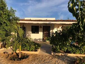 a house with a palm tree in front of it at La Maison Aziz - Somone / Sénégal in Somone