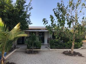 une maison avec deux arbres devant elle dans l'établissement La Maison Aziz - Somone / Sénégal, à La Somone