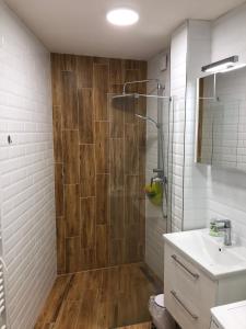 Kúpeľňa v ubytovaní Apartment an der Burg