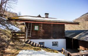 Príroda v okolí horskej chaty + 8 fotografií