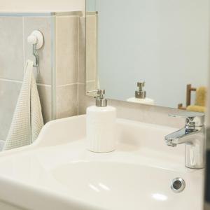 a bathroom with a white sink and a mirror at Apartmaji Aucin - Brda in Kojsko