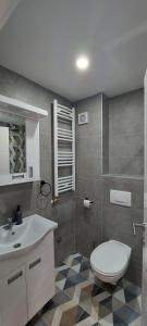 Et badeværelse på Apartman 21 Banja Koviljača