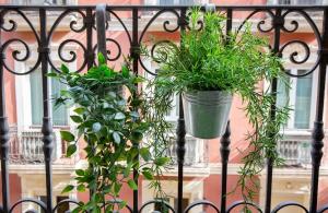 two potted plants are hanging on a fence at LovelyLoft Castaños in Alicante