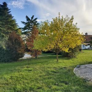 Taman di luar L Amalia au cœur des Châteaux de la Loire et du zoo de Beauval