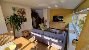 een woonkamer met een blauwe bank en een tv bij Garden Cottage - Ashover Village near Matlock in Chesterfield