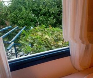 Balkón alebo terasa v ubytovaní Sofia Rooms