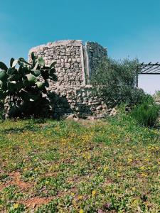 アッリステにあるTrullo Contrada Straccaのサボテンのある丘の上の古い石造りの建物