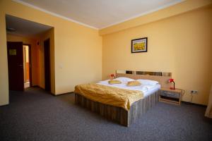 a bedroom with a large bed with yellow walls at Hotel Alexandra in Timişoara