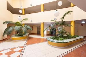 Zdjęcie z galerii obiektu OLIVIA SUNSET Perfect Stay by Sunkeyrents w mieście Puerto de Santiago