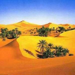 a desert with palm trees and sand dunes at Hotel Riad Le Petit Prince in Merzouga