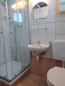 La salle de bains est pourvue d'une douche, d'un lavabo et de toilettes. dans l'établissement Freyunger Nurdachhaus, à Freyung