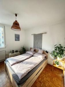 een slaapkamer met een groot bed in een kamer bij Vándor Apartman in Veszprém