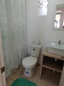 a bathroom with a toilet and a sink at Dpto Bordemar 1 in Las Cruces