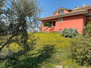 Civitanova AltaにあるBelle Marcheの花畑の家