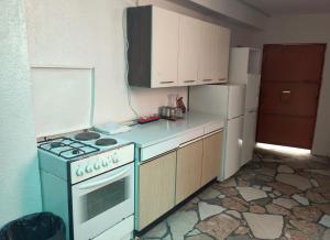 Una cocina o zona de cocina en Apartmani Ana Leko