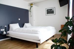 Voodi või voodid majutusasutuse Hotel Vadian Garni toas