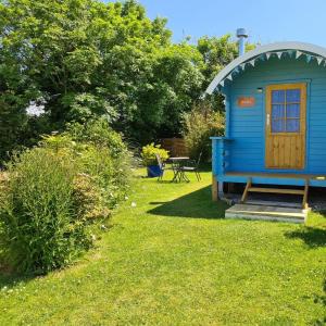 a blue out house in the grass with a table at Coutts Glamping in Wadebridge