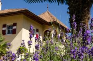una casa con fiori viola di fronte di Leuchtenhof a Caldaro