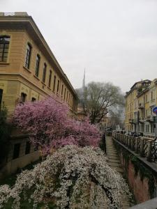 Kép Style Homes Brera San Marco 29 szállásáról Milánóban a galériában