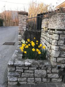 una pared de piedra con narcisos amarillos en un jardín en DA VALDES, en Sequsino