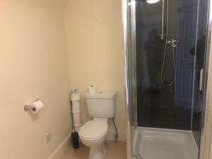 a bathroom with a toilet and a shower at Wayfarer Inn in Instow
