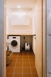 un piccolo bagno con lavatrice e lavandino di Erzgebirgshaus Zirbenliebe a Kurort Altenberg