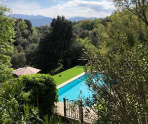 a swimming pool in a forest with an umbrella at New! 5bed & 5bath Villa close the sea and Ceret in Saint-Jean-Pla-de-Corts